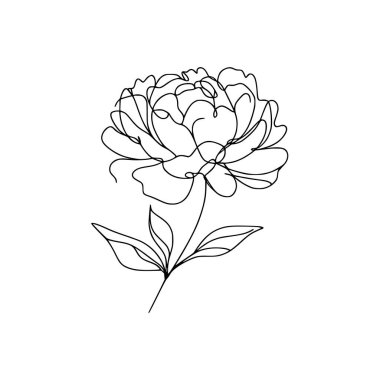 Çiçek çizgisi şakayık