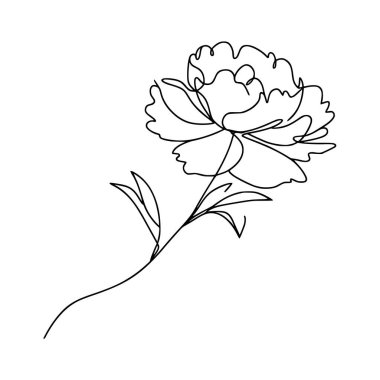 Çiçek çizgisi şakayık