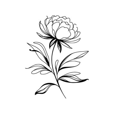 Çiçek çizgisi şakayık