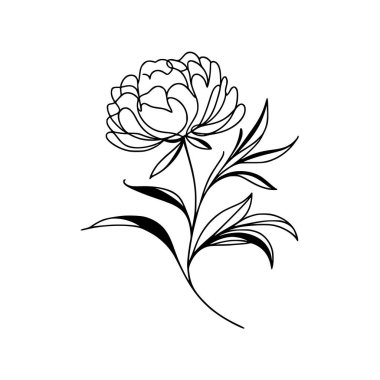 Çiçek çizgisi şakayık