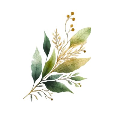 Beyaz arka planda suluboya yapraklar. Elle boyanmış çiçekler, altın ve yeşim çiçeklerin yaprakları. Düğün davetiyesi, kart, tebrik kartı ya da davetiye. vektör koleksiyonu