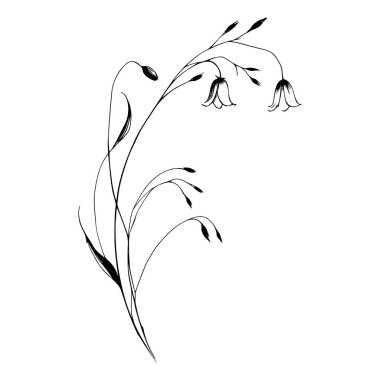 Tek bir kır çiçeği sapının siyah beyaz çizimi