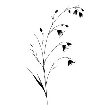 Siyah beyaz çizgili bir kır çiçeği dalının çanı