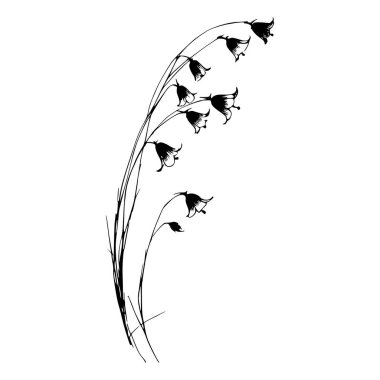 Siyah beyaz çan çiçeklerinin el çizimi