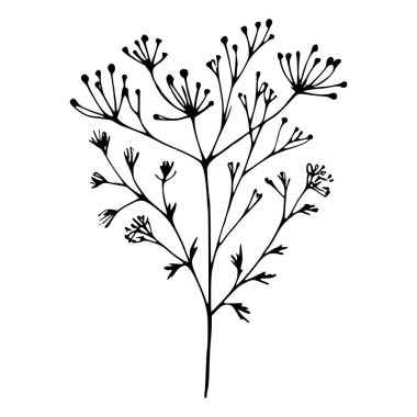 Tek bir kır çiçeği sapının basit siyah beyaz çizimi