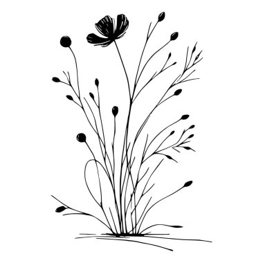 Yaban çiçeklerinin siyah beyaz çizgileri