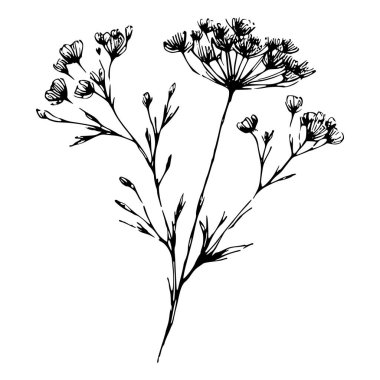Kır çiçeklerinin el çizimi siyah mürekkep çizimi