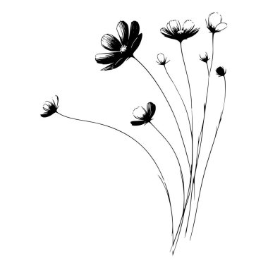 Yedi kozmos çiçeğinin siyah beyaz çizimi