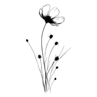 Tomurcuklu tek bir kır çiçeğinin siyah beyaz çizimi