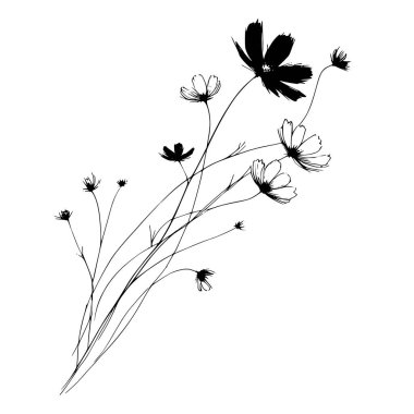 Kozmos çiçeklerinin basit siyah beyaz çizimi