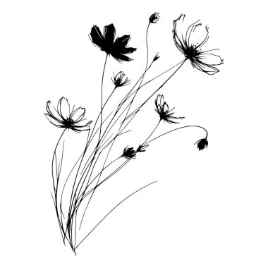 Siyah ve beyaz kır çiçeklerinin el çizimi sanat tasviri