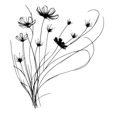 Çiçek açmış papatyaların siyah beyaz çizimi