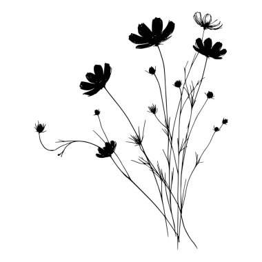 Kozmosun siyah beyaz siluetleri çiçek açtı.