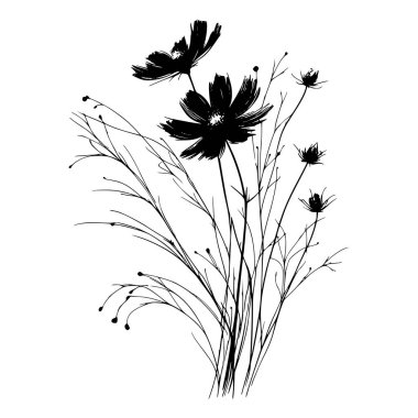 Kozmos çiçeklerinin siyah beyaz silueti