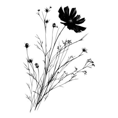 Kozmos çiçeğinin saplı ve tomurcuklu siyah beyaz silueti.