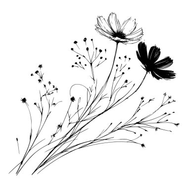 Kır çiçekleri ve otların siyah ve beyaz çizimi: