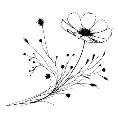 Tomurcuklu tek bir kozmos çiçeğinin siyah beyaz çizgisi