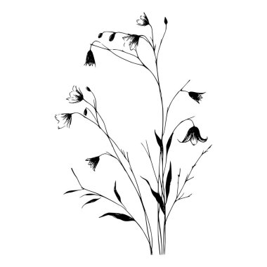 Yaban çiçeklerinin siyah beyaz çizgileri