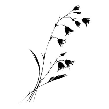 Çiçek açan çan çiçeklerinin el çizimi silueti