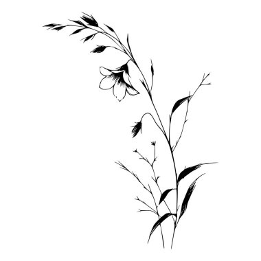 Tek bir kır çiçeğinin siyah beyaz çizgisi.