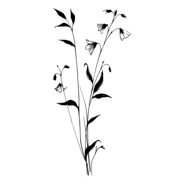 Kır çiçeklerinin el çizimi siyah mürekkep çizimi