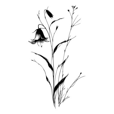 Çiçek açan kır çiçeklerinin siyah beyaz çizgisi