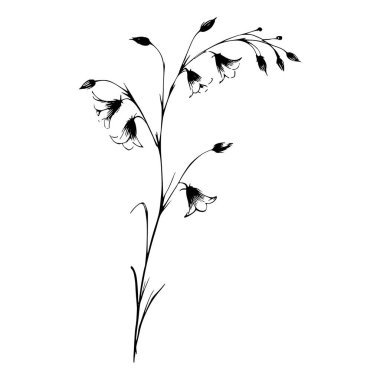 Bir çan çiçeği sapının siyah beyaz çizimi
