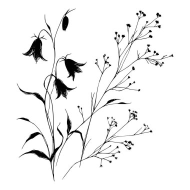 Yaban çiçeklerinin siyah beyaz çizgileri
