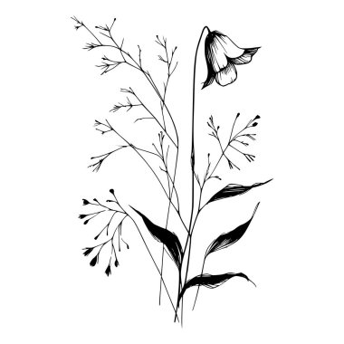 Bir çan çiçeğinin ve kır çiçeklerinin siyah beyaz çizgisi