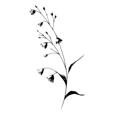 Bir kır çiçeği sapının siyah beyaz çizimi