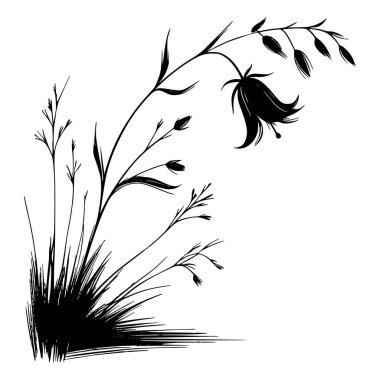 Bir çiçeğin siyah beyaz çizgisi