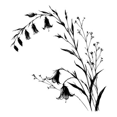 Çan çiçekleri ve otların siyah beyaz çizgisi