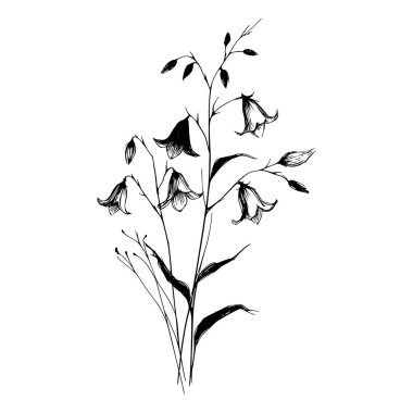 Çan çiçeklerinin siyah beyaz çizimi