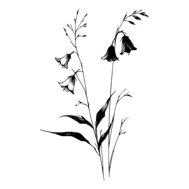Çan çiçekleri ve otların elle çizilmiş siyah mürekkep çizimi