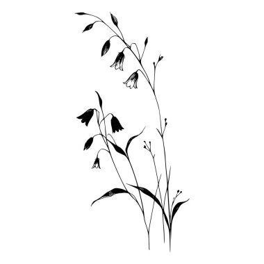 Siluette çan çiçeklerinin el çizimi