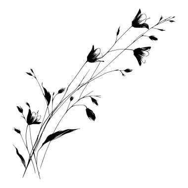 Kır çiçeklerinin siyah beyaz çizimi