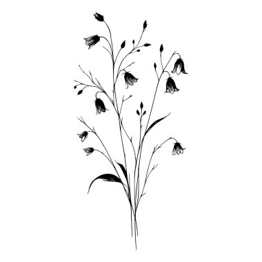 Çan çiçeklerinin siyah beyaz çizgileri