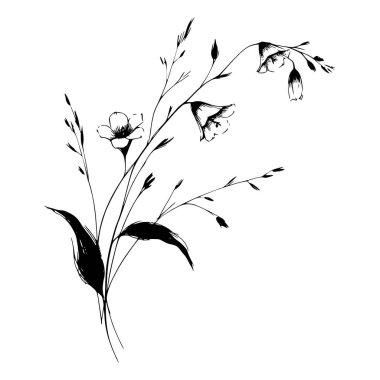 Yaban çiçeklerinin siyah beyaz çizgileri