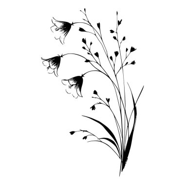 Çan çiçekleri ve otların siyah beyaz çizgisi