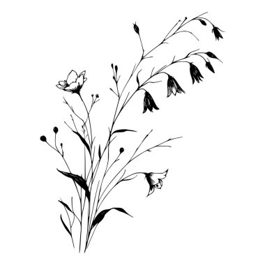 Kır çiçeklerinin siyah beyaz çizimi