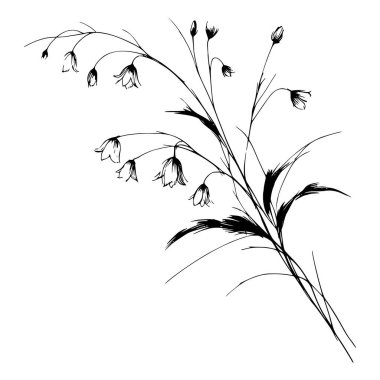Çan şeklindeki çiçeklerin siyah beyaz çizimleri