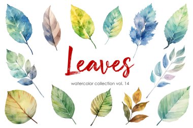 Sonbahar yapraklarının suluboya seti beyaz arka planda izole edilmiş. Vektör illüstrasyonu.