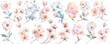 Çiçekli suluboya elementler. Beyaz arkaplanda el çizimi çiçekler ve yapraklar.