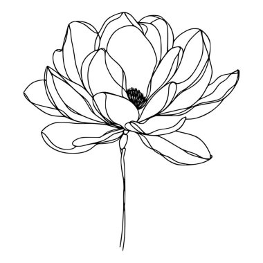 Beyaz arka planda yaprakları olan sürekli bir çizgi çiçeği. El çizimi çiçek illüstrasyonu