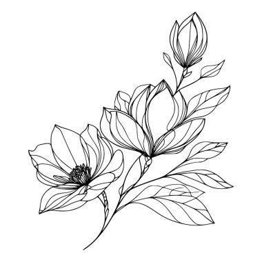 Beyaz arka planda yaprakları olan sürekli bir çizgi çiçeği. El çizimi çiçek illüstrasyonu