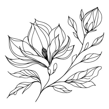 Beyaz arka planda yaprakları olan sürekli bir çizgi çiçeği. El çizimi çiçek illüstrasyonu