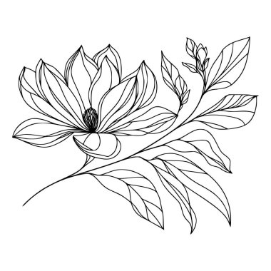 Beyaz arka planda yaprakları olan sürekli bir çizgi çiçeği. El çizimi çiçek illüstrasyonu