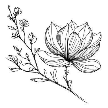 Beyaz arka planda yaprakları olan sürekli bir çizgi çiçeği. El çizimi çiçek illüstrasyonu