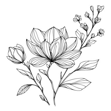 Beyaz arka planda yaprakları olan sürekli bir çizgi çiçeği. El çizimi çiçek illüstrasyonu