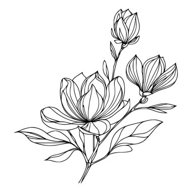 Beyaz arka planda yaprakları olan sürekli bir çizgi çiçeği. El çizimi çiçek illüstrasyonu